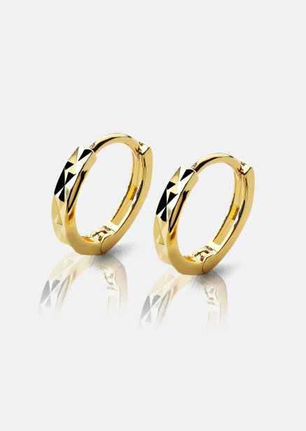 Anni Lu Örhängen – 18k Guldpläterade