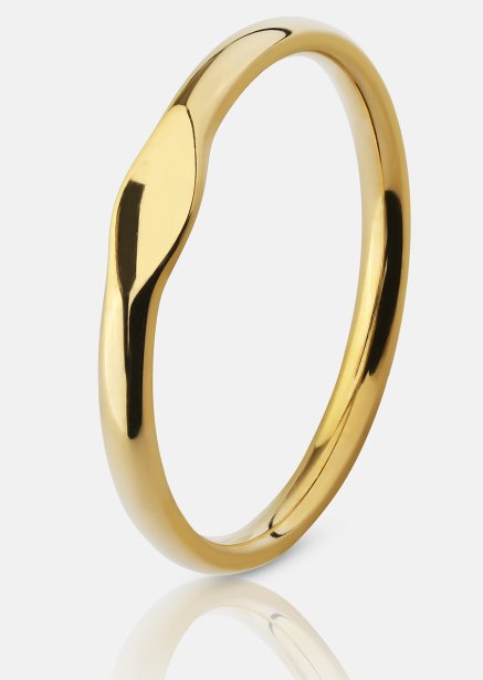Initial Ring – 18k Guldpläterad